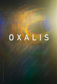 Связанные кровью / Oxalis (2018) фильм скачать через торрент в хорошем качестве
