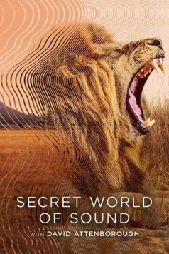 Постер: Тайный мир звуков с Дэвидом Аттенборо / Secret World of Sound with David Attenborough (2024)