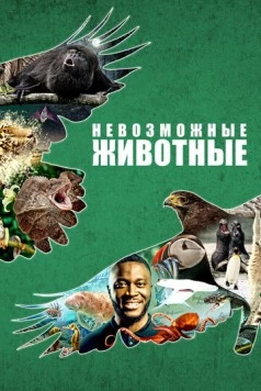 Невозможные животные / Impossible Animals (2021) фильм скачать через торрент в хорошем качестве