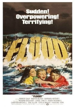 Наводнение! / Flood! (1976) фильм скачать через торрент в хорошем качестве