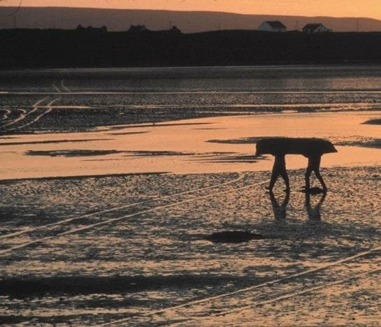 Сближение (2000) в хорошем качестве через торрент Сближение (2000) фильм в хорошем качестве через торрент