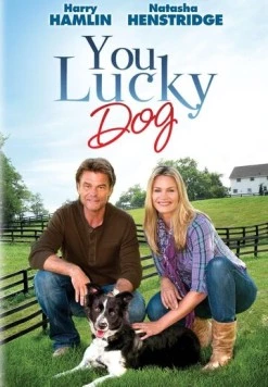 Везучий пёс / You Lucky Dog (2010) фильм скачать через торрент в хорошем качестве
