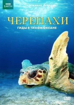 Постер: Черепахи: Гиды в Тихом океане / A Turtle's Guide to the Pacific (2008)