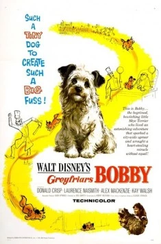 Бобби из Грейфраерса: Правдивая история / Greyfriars Bobby: The True Story of a Dog (1961) фильм скачать через торрент в хорошем качестве