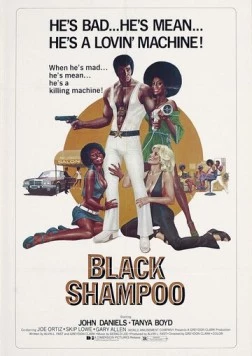 Чёрный шампунь / Black Shampoo (1976) фильм скачать через торрент в хорошем качестве