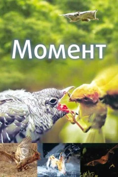 Постер: Момент / Moment (2016)