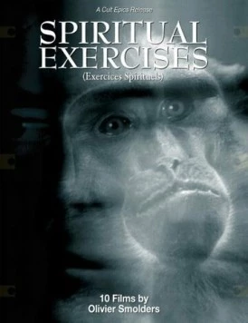 Постер: Любитель / L'amateur (1996)