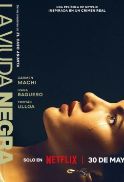 Игра вдовы (2025)