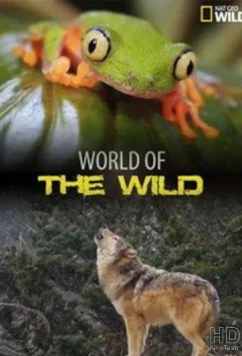 Мир дикой природы (2016)