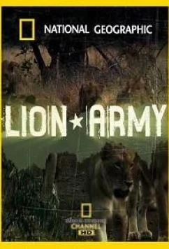 Постер: National Geographic. Львиная Армия / Lion Army (2007)