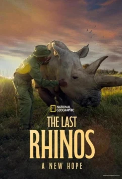 Постер: Последние носороги: Новая надежда / The Last Rhinos: A New Hope (2025)