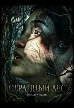 Постер: Странный лес / Salikmata (2025)