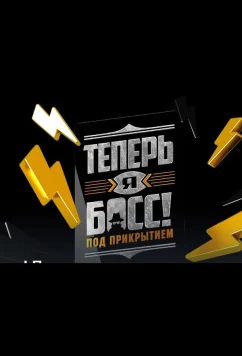 Постер: Теперь я босс под прикрытием (2022)