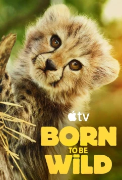 Постер: Возвращение в дикую природу / Born to be Wild (2025)