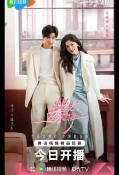 Постер: Звездный блеск / Звезда, упавшая в море цветов / Starlit Bloom / Dang Xing Guang Zhui Ru Hua Hai (2025)