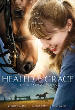 Постер: Исцеление Грэйс 2 / Healed by Grace 2 (2018)