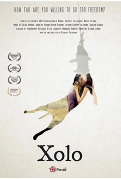 Постер: Чоло / Xolo (2017) Постер: Чоло / Xolo (2017)