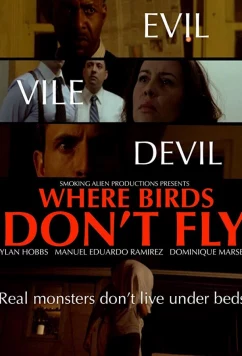 Постер: Где птицы не летают / Where Birds Don't Fly (2017)