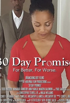 Постер: 30-дневное обещание / 30 Day Promise (2017)