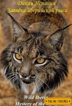 Постер: National Geographic. Дикая Иберия. Загадка иберийской рыси / Wild Iberia. Mystery of the Lynx (2012)