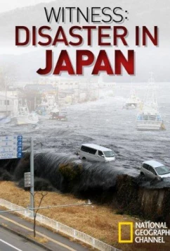 Постер: National Geographic. Свидетели японской катастрофы / CNBC Special Report: Disaster in Japan (2011)