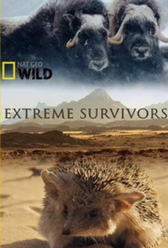 Постер: National Geographic. Выжить несмотря ни на что / Extreme Survivors (2014)
