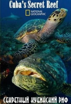 Постер: National Geographic. Секретный кубинский риф / Cuba's Secret Reef (2015)