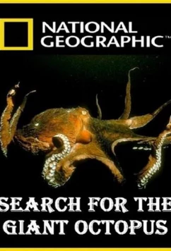 Постер: National Geographic. В поисках гигантского осьминога / Search for the Giant Octopus (2009)