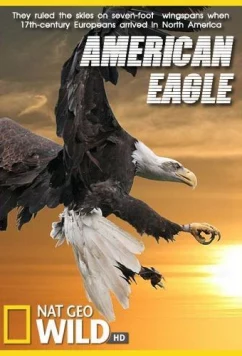 Постер: National Geographic. Белоголовый орлан / American Eagle (2009)