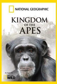 Постер: National Geographic. Королевство обезьян: Брат против брата / Kingdom Of The Apes: Brother vs. Brother (2014)