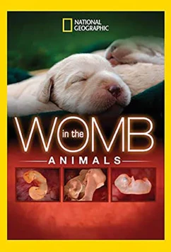 Постер: National Geographic. Жизнь до рождения: Собаки / In The Womb Dogs (2008)