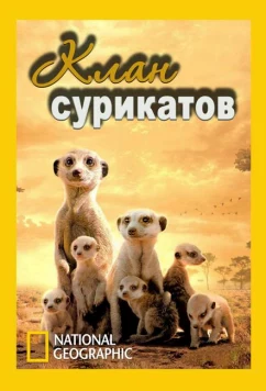 Постер: National Geographic. Клан сурикатов / Clan of the meerkat (2010)