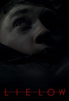 Постер: Залечь на дно / Lie Low (2019)