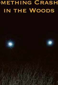 Постер: Крушение в лесу / Something Crashed in the Woods (2019)