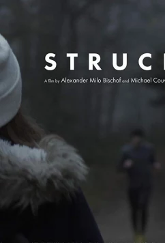 Постер: Шок / Struck (2017)