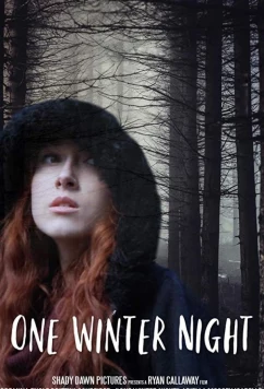 Постер: Однажды зимней ночью / One Winter Night (2019)