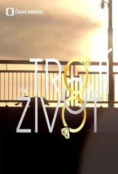 Постер: Тройная жизнь / Troji zivot (2018)