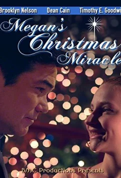 Постер: Рождественское чудо для Меган / Megan's Christmas Miracle (2018)