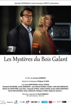 Постер: Тайны Буа-Галан / Les mysteres du Bois Galant (2019)