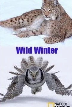 Постер: Зимний сезон / Wild Winter (2016)