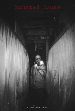 Постер: Дом с привидениями / Haunted House (2019)