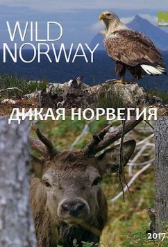 Постер: Дикая Норвегия / Wild Norway (2017)