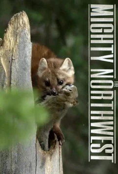 Постер: Прекрасная Америка: Величественный Северо-Запад. Под вулканом / The Mighty Northwest (2017)