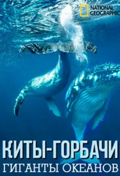 Постер: Киты-горбачи: гиганты океанов / Humpbacks Giants of the Ocean (2009)