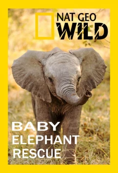 Постер: Спасение слонёнка / Baby Elephant Rescue (2018)