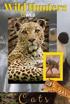 Постер: Дикие охотники. Кошки / Wild Hunters. Cats (2019)