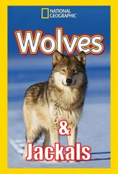 Постер: Дикие охотники. Волки и шакалы / Wild Hunters. Wolves & Jackals (2019)