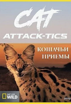 Постер: Кошачьи приемы / Cat Attack-Tics (2019)