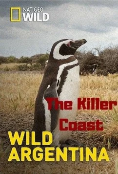 Постер: Дикая природа Аргентины. Убийственное побережье / Wild Argentina. The Killer Coast (2017)