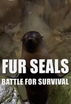 Постер: Морские котики: битва за выживание / Fur Seals. Battle for Suvival (2014)